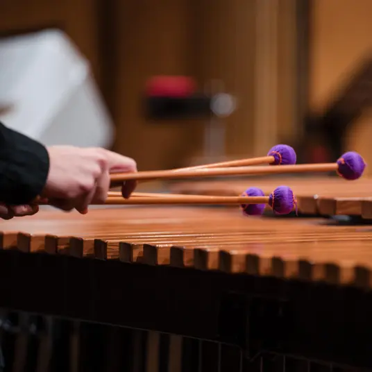 Bewirb dich! SPLASH Manager:in gesucht!